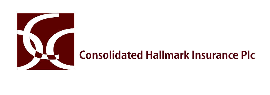 Consolidated Hallmark Insurance Proposes Rights Issue of 2