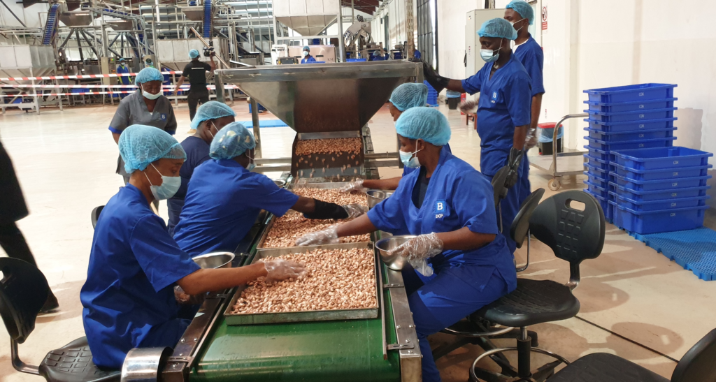 JULIUS BERGER COMMISSIONS ULTRA-MODERN CASHEW PROCESSING CASHEW PROJECT IN EPE LAGOS